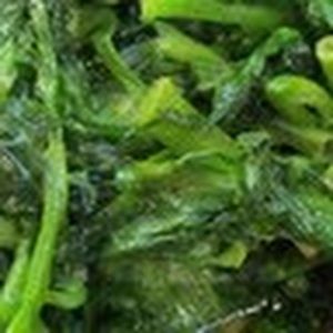 Meet your Posher, Keith